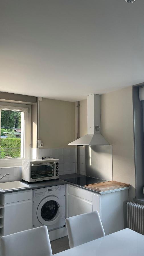 Appartement La Fourmi Verte Bruyeres Buitenkant foto